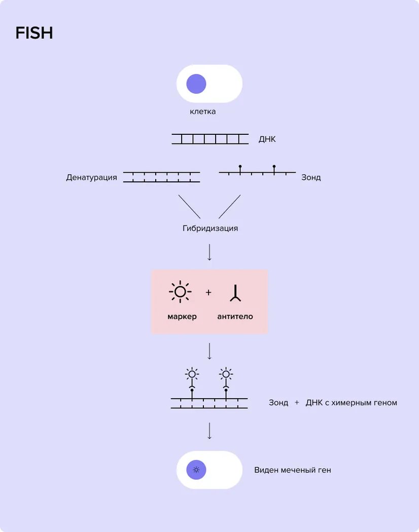 ALK-polozhitelnyi_nemelkokletochn.width-826.format-webp_KJhRLNb