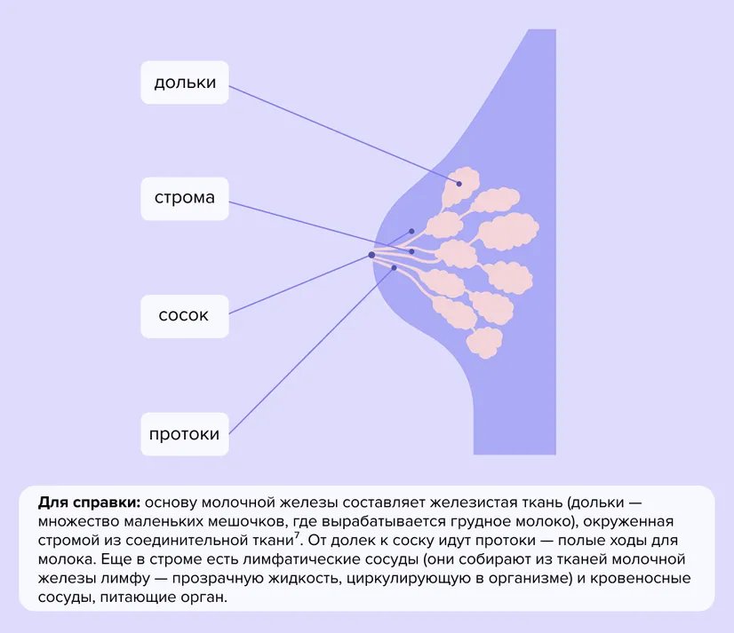 Group_682.width-826.format-webp