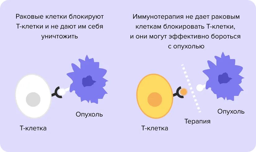 Kak_rabotaet_immunoterapiia_pri_r.width-826.format-webp_KWnEEND