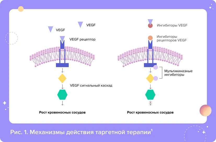 ris_1_-_SP.width-826.format-webp