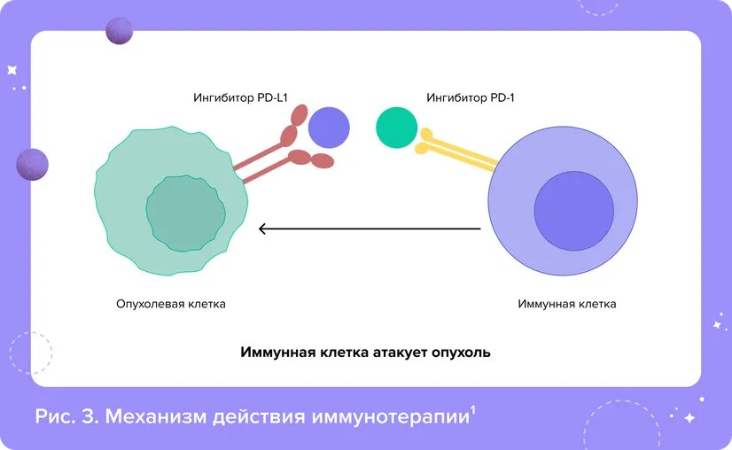 ris_3_-_SP.width-826.format-webp