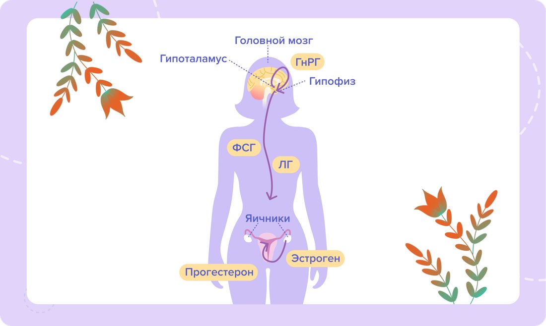 вынос 116 (1)